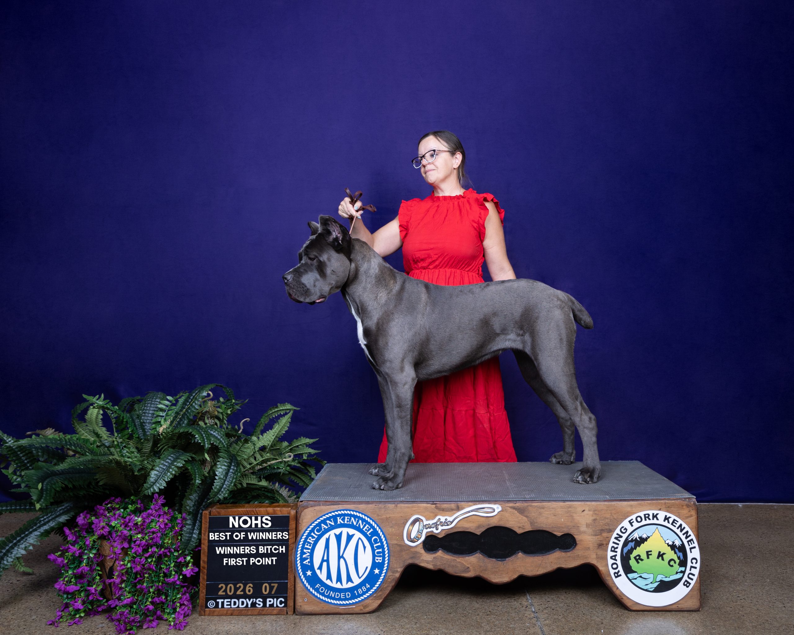 Fi Makes an Unforgettable AKC Debut
